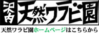 西ワラビを大自然の中で採れる